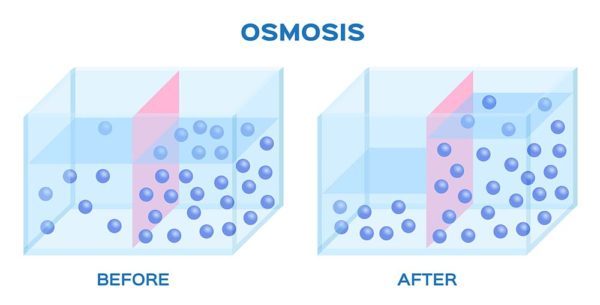 ClearFox® Reverse Osmosis Scheme