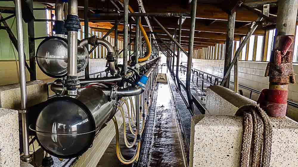 dairy industry waste water treatment